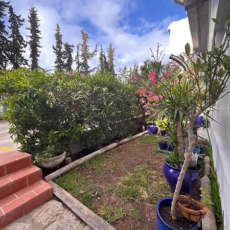 Maria Luisa -amaral's *