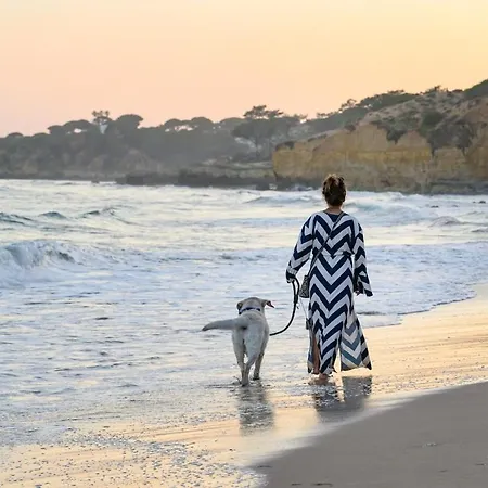 Maria Luisa -amaral's Appartement