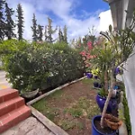 Maria Luisa -amaral's *