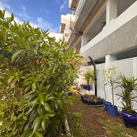 Amaral'S Guesthouse - Albufeira *
