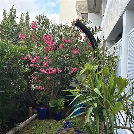 Maria Luisa -amaral's Lejlighed Albufeira