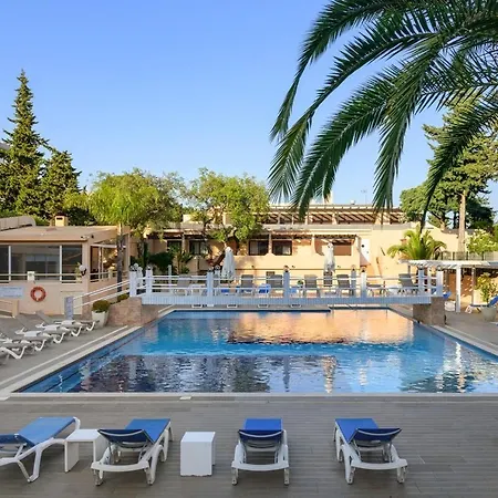 Maria Luisa -amaral's