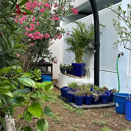 Apartman Maria Luisa -amaral's Albufeira