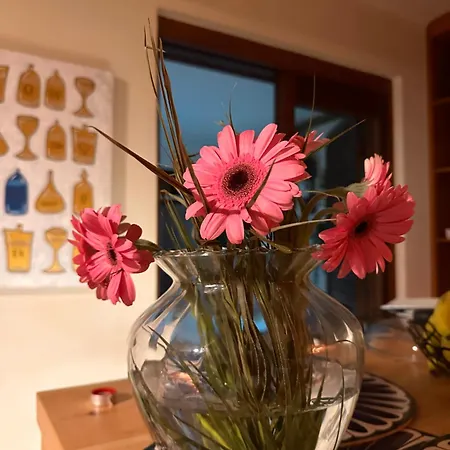 Apartman Maria Luisa -amaral's *