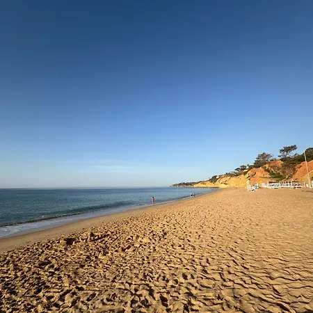 Maria Luisa -amaral's