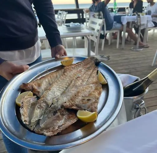 Maria Luisa -amaral's Αλμπουφέιρα