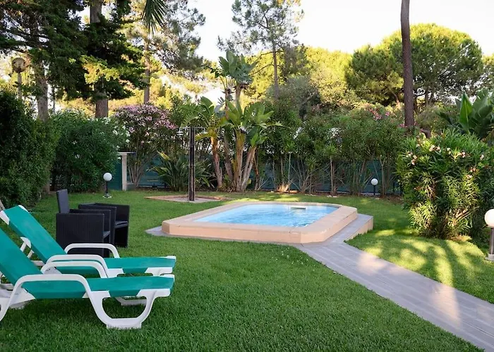 Maria Luisa -amaral's * Αλμπουφέιρα