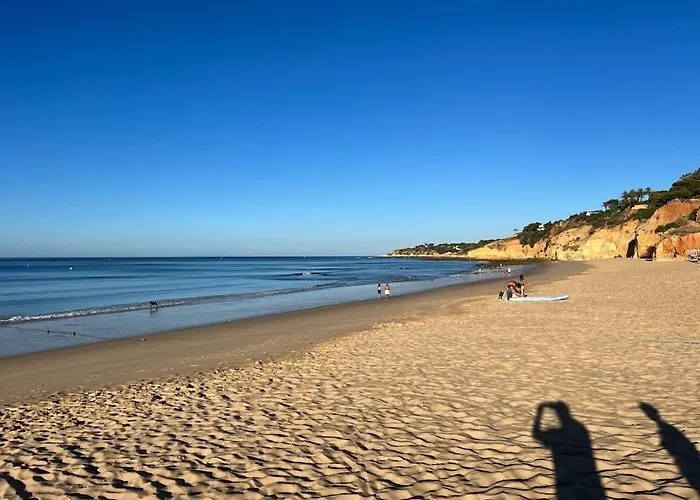 Maria Luisa -amaral's * Αλμπουφέιρα