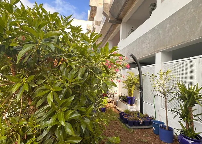 Maria Luisa -amaral's *