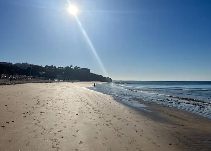 Maria Luisa -amaral's * Αλμπουφέιρα