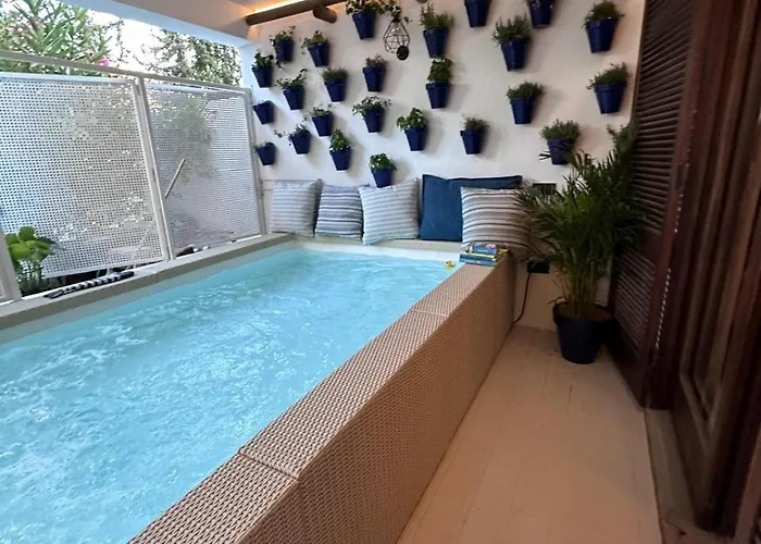 Maria Luisa -amaral's *