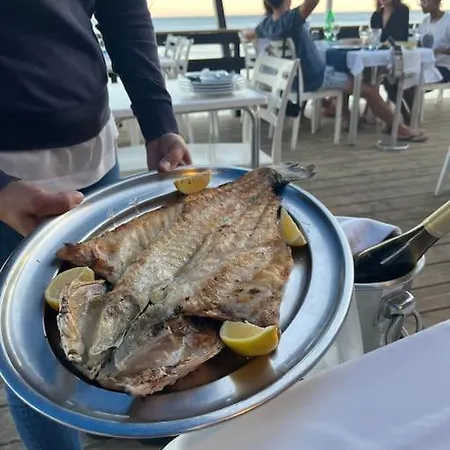 Maria Luisa -amaral's Albufeira